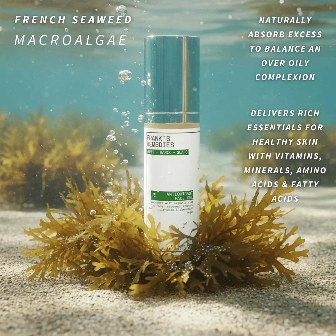 Antioxidant Face Gel with seaweed, emphasising natural ingredients.
